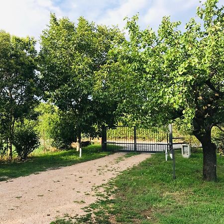 Una Casa Di Campagna Dossobuono Exteriér fotografie