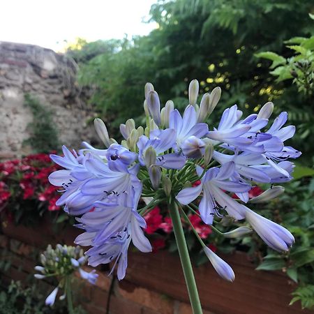 Una Casa Di Campagna Dossobuono Exteriér fotografie