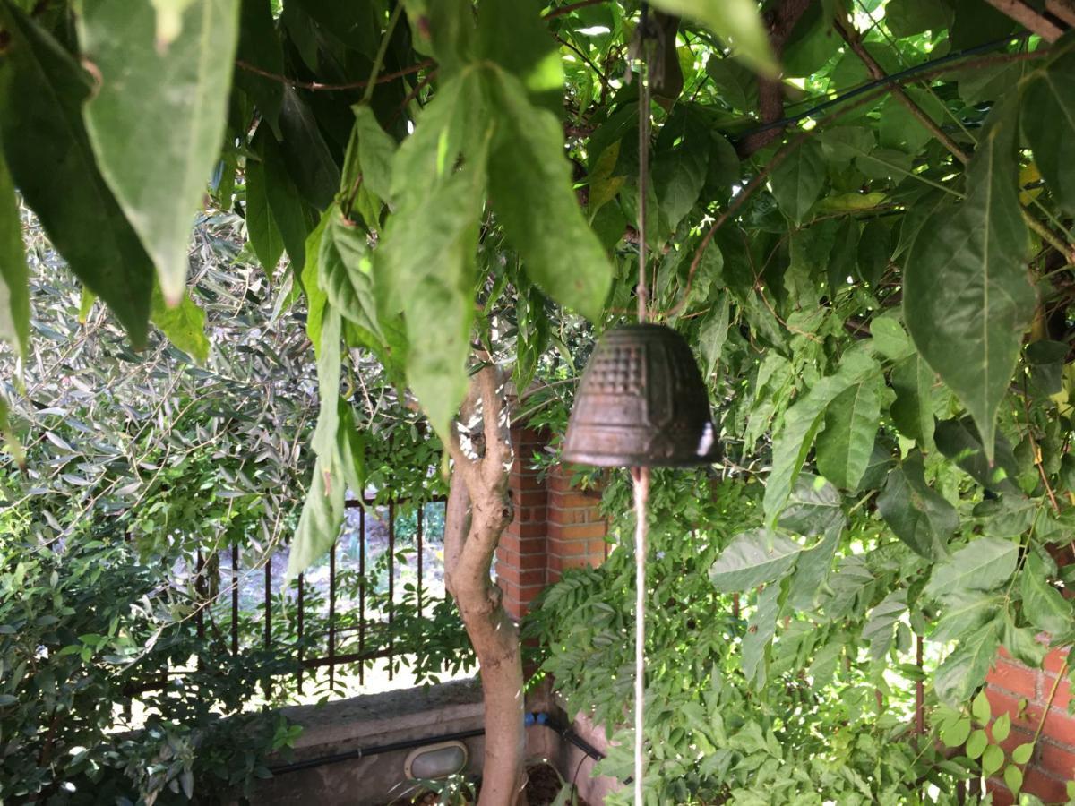 Una Casa Di Campagna Dossobuono Exteriér fotografie