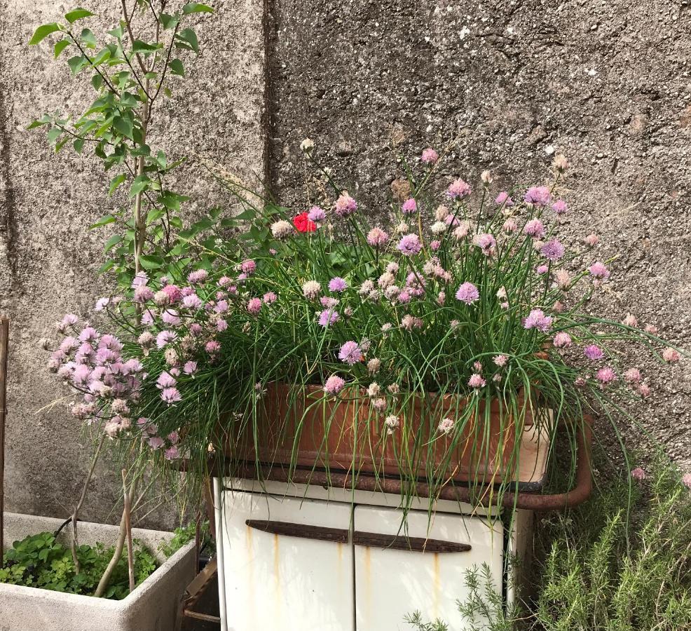 Una Casa Di Campagna Dossobuono Exteriér fotografie