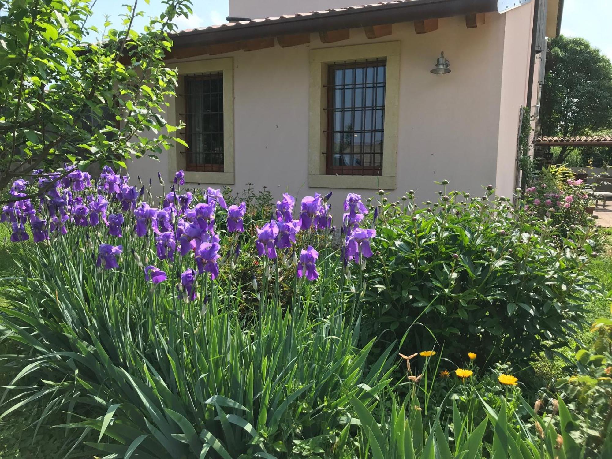 Una Casa Di Campagna Dossobuono Exteriér fotografie